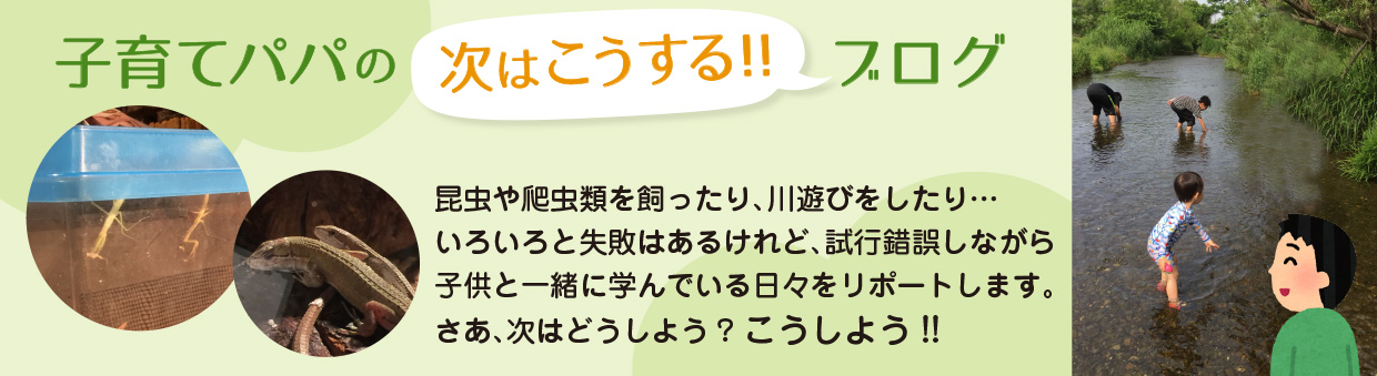 子育てパパの次はこうする！ブログ